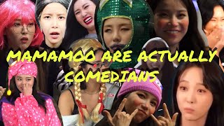 mamamoo are actually comedians !!! | funny moments