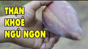 Cứ lấy Bi Chuối Làm Cách Này Chữa Ngay Được Tiểu Đường - Giúp Thận Khoẻ Mạnh Ngủ Ngon Tới Sáng