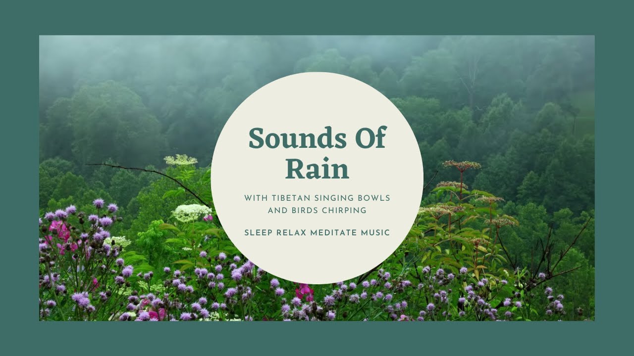 Sounds Of Falling Rain With Tibetan Singing Bowls And Birds Chirping ...