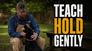 How to Teach Your Gundog to Hold | A Gentle, Positive Method 