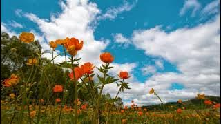 Patrick Patrikios - Broken