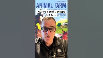 All are equal... except UK MPs