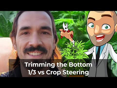 Trimming the Bottom 1/3 vs Crop Steering