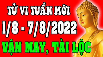 Tử vi 12 con giáp Tuần mới 1/8 - 7/8/2022 - Vận Mệnh, Tài Lộc, Công Việc, Tình Duyên, Sức Khỏe