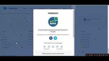 Analysis of Survey Responses with Sentiment Insights | Salesforce