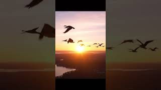 Download Lagu Salam Alaik Ya Rasool Allah | Arabic Salawat | يا رسول الله MP3