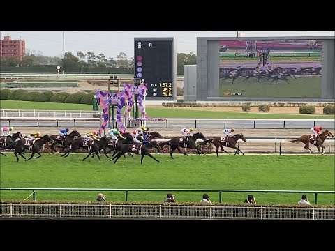 【金鯱賞2022】 ジャックドール逃げ切り　レコードタイム 1.57.2 【現地映像】