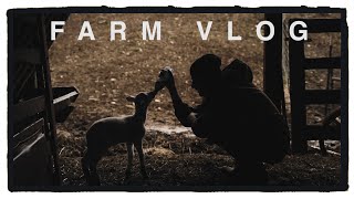 WWOOF | LIVING ON A FARM IN TENNESSEE | VLOG