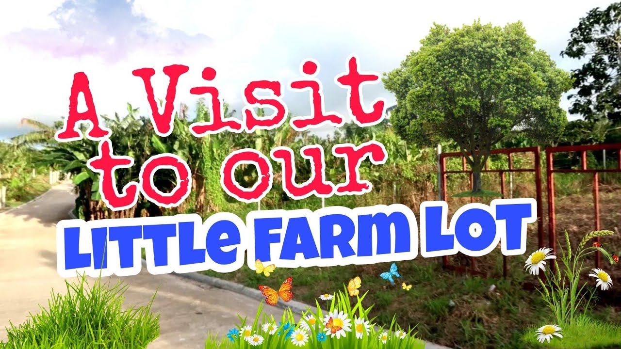 SMALL FARM LOT | SUBDIVIDED FARM LOT | FARMVILLE AMADEO CAVITE | FARM