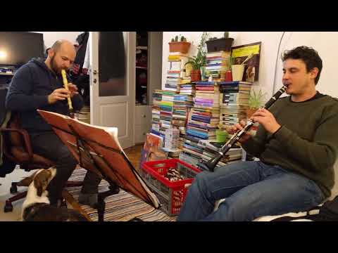Trio exemplaris - Harmonia disonans canecum.
