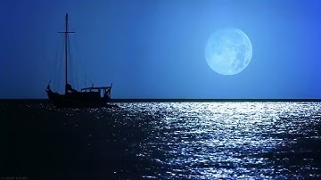 العشر ايات الاولى من سورة الكهف مقاطع دينية واتس اب تيك توك720P HD