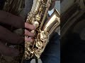 Vídeo Teste Sax Alto Michael WASM 35