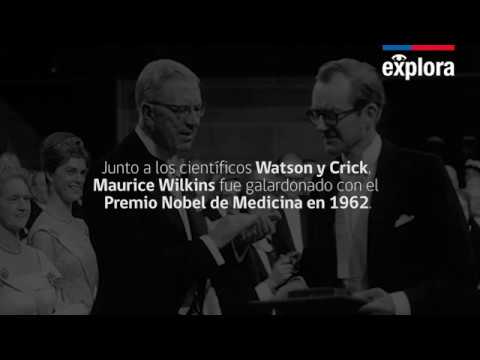 Video: ¿Qué descubrió Wilkins sobre el ADN?