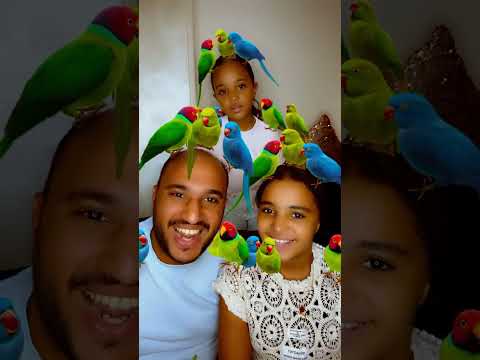 كام عصفوره لايك واشتراك بقي Comedy Funny Shafa Humor