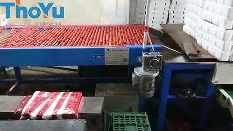 Video of cherry tomato grading machine 86 15238398301