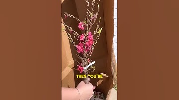 Fast Growing Trees Unboxing! 🍋🌳 Meyer Lemon Tree and Patio Peach #gardening #plantcaretips