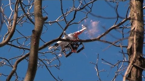 I GOT MY DRONE STUCK IN A TREE!