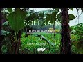 Soft rain on leaves  no ads  soothing gentle rain sounds for sleeping