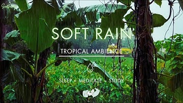 Soft Rain On Leaves | NO MIDROLL ADS | Soothing Gentle Rain Sounds For Sleeping🌧