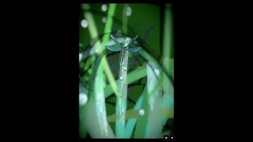 Rigging and animating feather3d model in Morphin