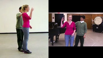 The Alexander Technique: Musician