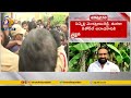 Macharla Violence Reflects YCP's Rule: Macharla TDP In-charge Julakanti Bramha Reddy