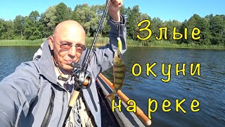 Рыбалка ВОБЛЕРАМИ на р.Воронеж. - 6 