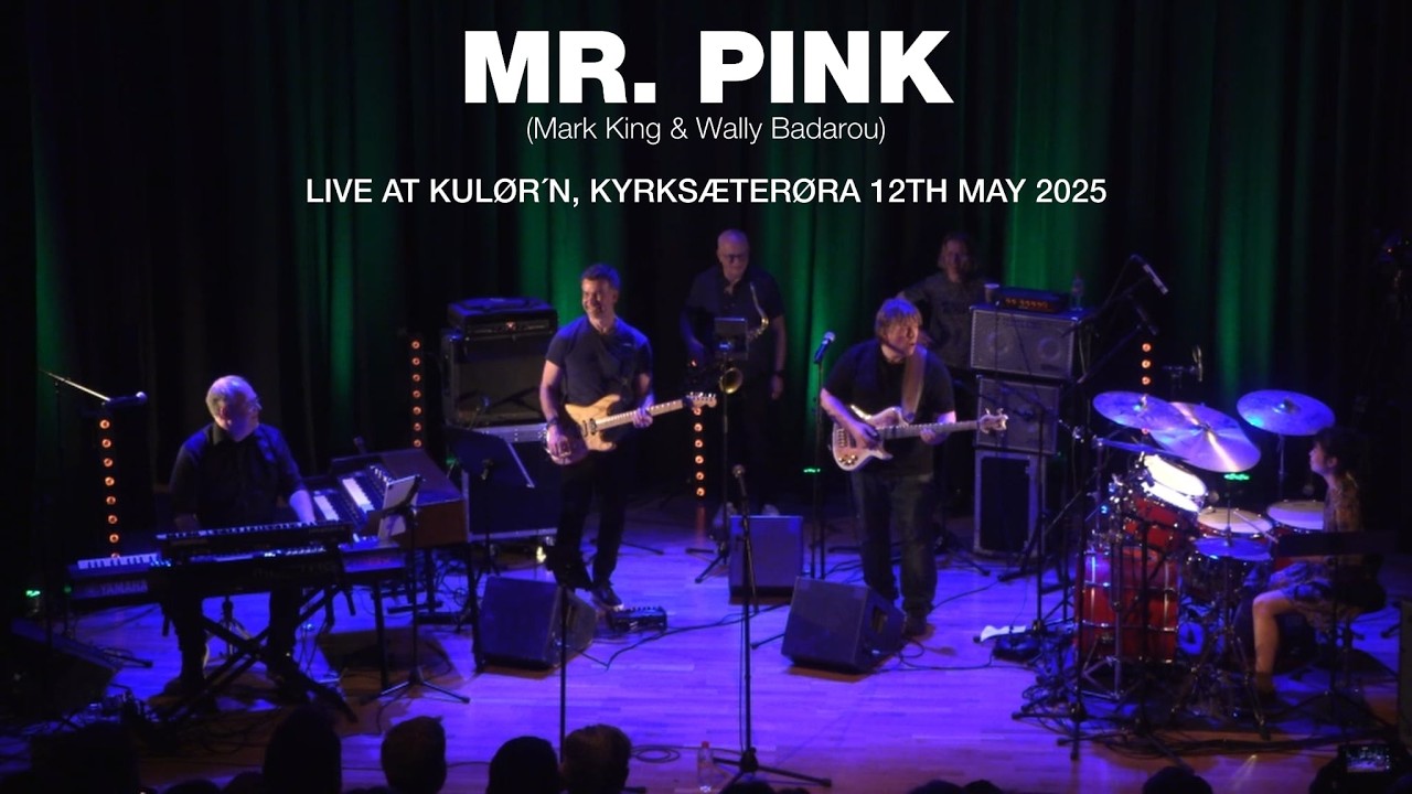 Holberg & Senri Kawaguchi - Mr.Pink (Live)