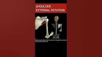 Shoulder External Rotation #shorts #anatomy_physiology #innovation #physicaltherapy #movement