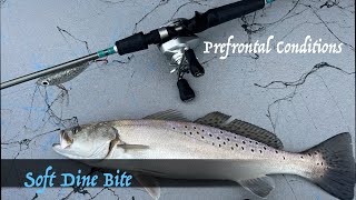 Speckled Trout On a Soft Dine XL screenshot 5