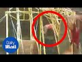 Circus performer falls 30ft from giant spinning wheel  daily mail