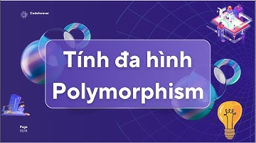 Bài 11: Tính Đa Hình Trong Lập Trình: Hiểu sâu và thực hành