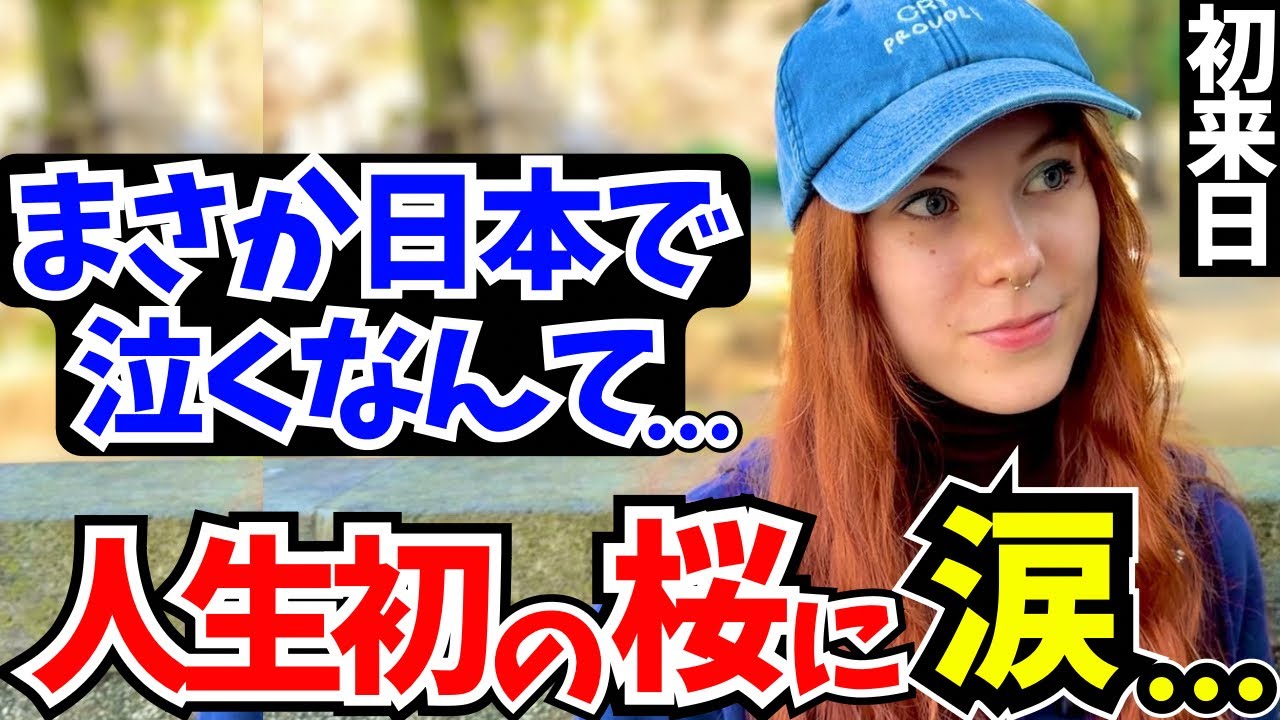 「まさか日本で泣くなんて…“人生初の桜”に涙が止まらなかった」初来日の外国人に日本の印象や驚いたことを聞いてみた!!【外国人インタビュー】【海外の反応】