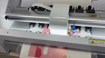R350 Auto Feeding Servo Label Cutting Machine