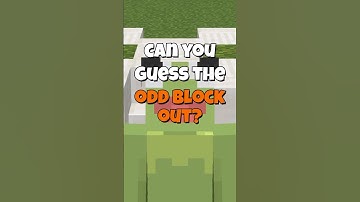 Can YOU Solve This Minecraft Puzzle? #minecraft #guessinggame #minecraftshorts #gaming #gamingshorts