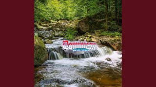 Brookside Reverie: Find Serenity and Stillness in the Melodic Brook's Embrace