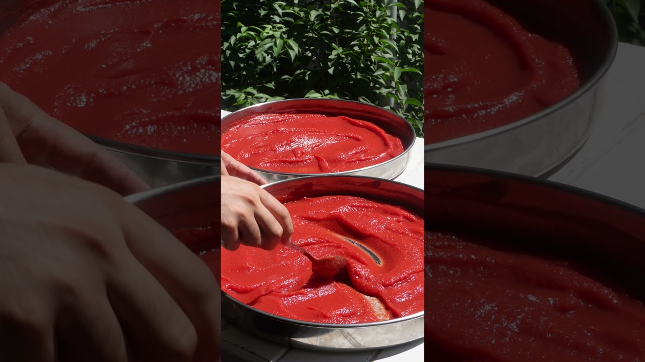 Domates Kabuklarından Doğal Salça Tarifi 🍅 | Kışa Hazırlık –  Ekonomik ve Doğal Tat