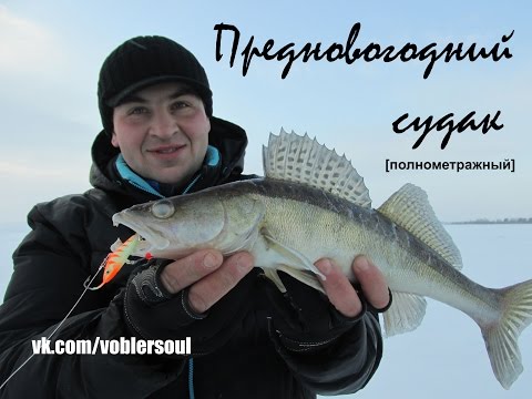 Ловля предновогоднего судак на балансир. р.Волга. Видео отчет от 27.12.2014 