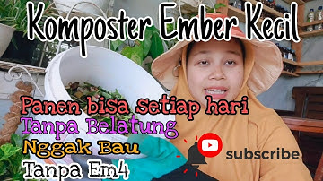 Komposter Pemula, tidak ada belatung, tidak bau. Komposter Ember