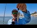 Live shrimp  new toadfish combo  6 fish in 6 minute st augustine fishing