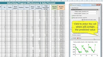 Neural Networks in Marketing: Forecasting Sales and Advertising Program Effectiveness