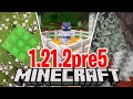 FIX e ULTIME NOVITÀ del DROP - Minecraft ITA 1.21.2 Snapshot Pre-release 5