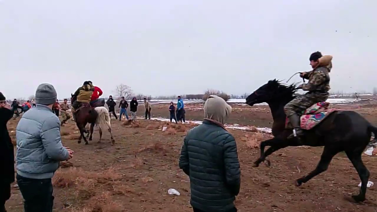 Бузкаши Хамадони (Чапаев) 21.12.2025