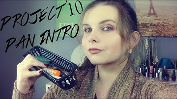 Project 10 Pan INTRO!