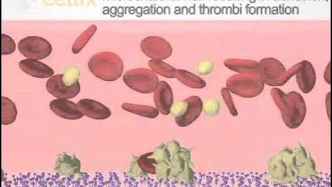 Vena8 Fluoro+ Biochip Tutorial