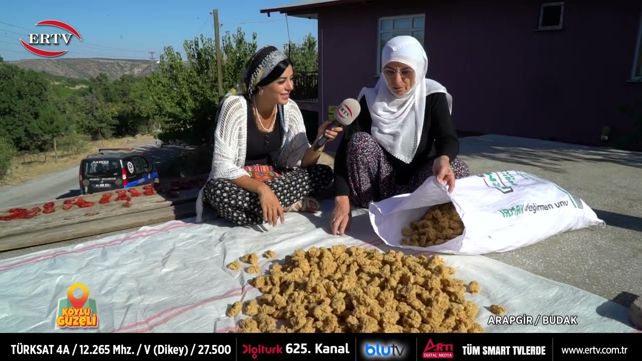 KÖYLÜ GÜZELİ 11 BÖLÜM BUDAK