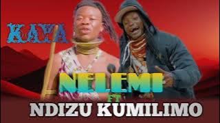 NELEMI MBASANDO_FT_NDIZU KUMILIMO_GUSHOKA_ KAYA_ AUDIO 