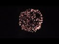 31st Annual Fireworks Celebrations
