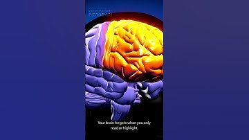 Why You Forget What You Study (And How to Fix It) 📚🧠 #studytips