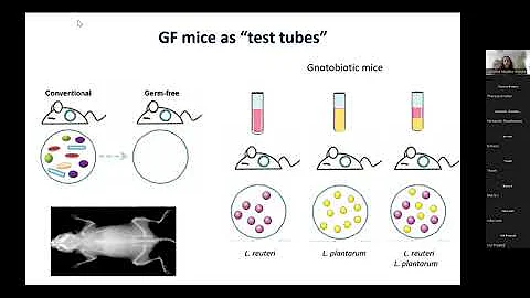 FIDELIO Webinar " Reframing the gut-bone axis by C...